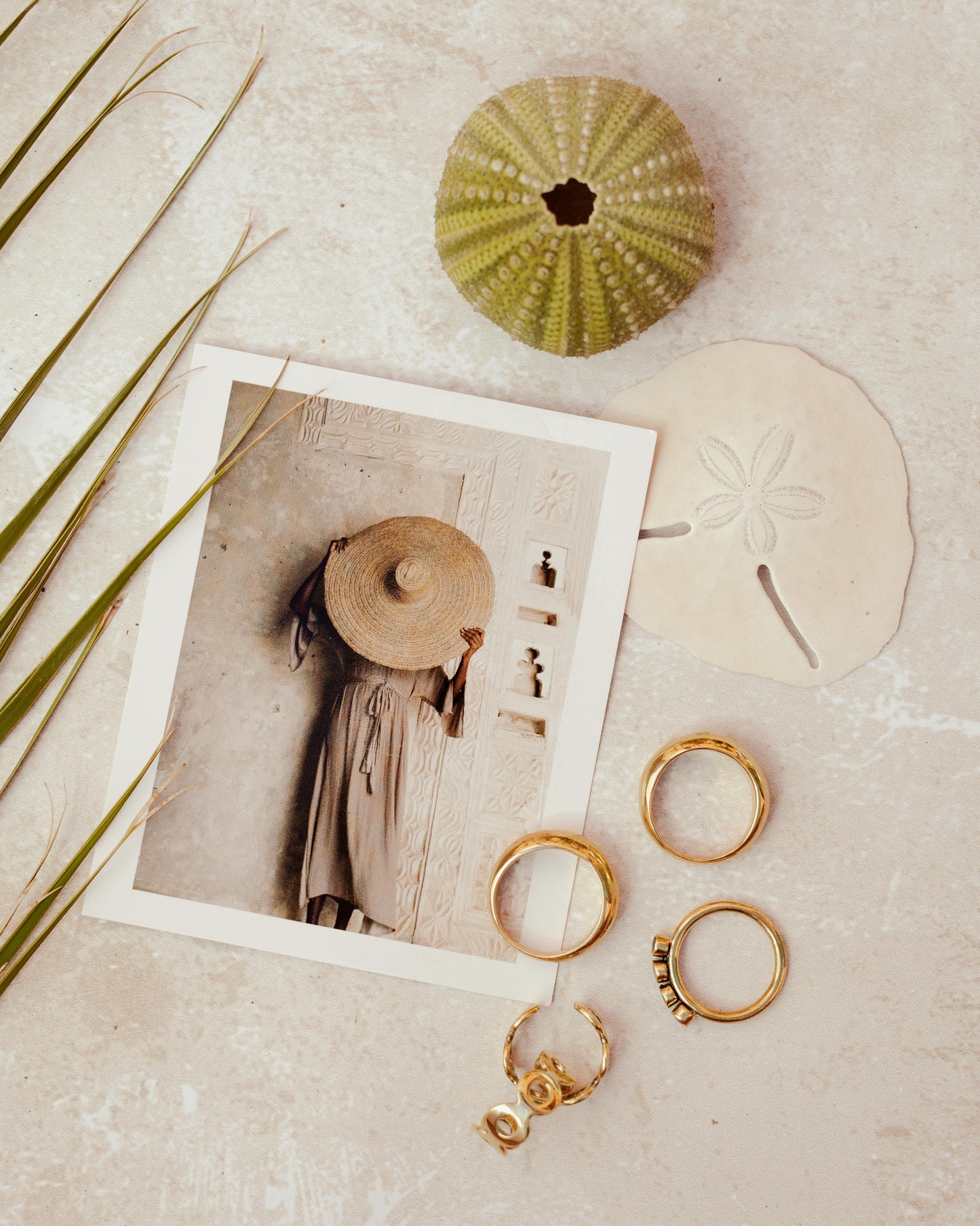 The Whole Story Package - For the Sea Inspired