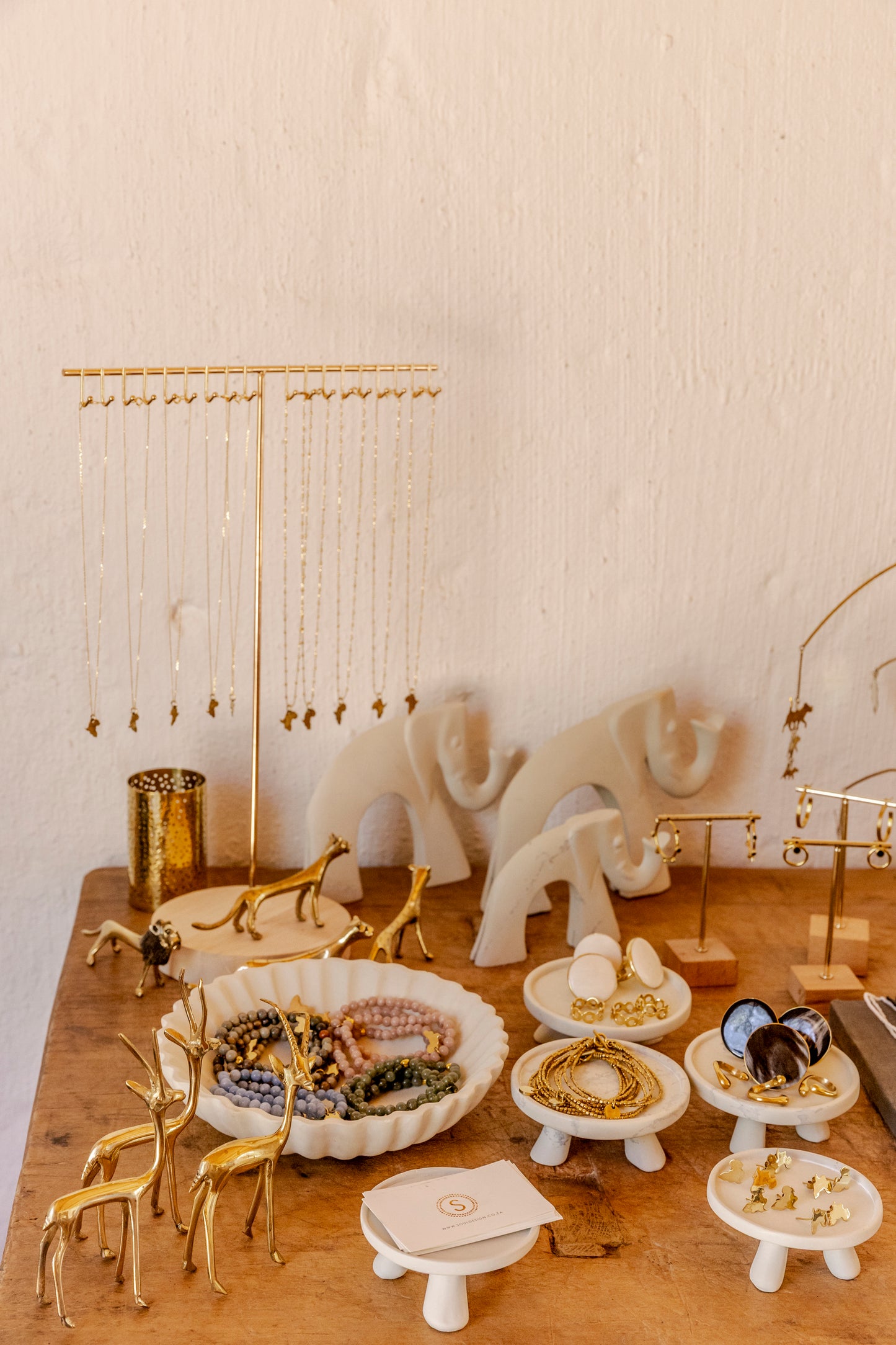 The Whole Story Package - For Safari Lodges