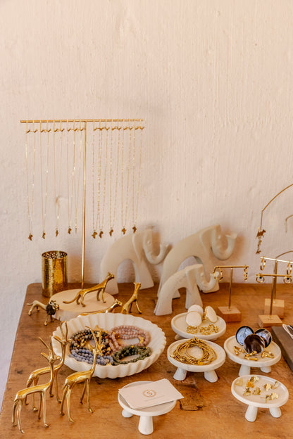 The Whole Story Package - For Safari Lodges