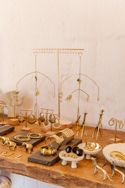 The Whole Story Package - For Safari Lodges